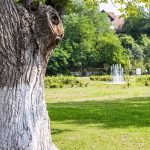 Érdemes időzni a Rhédey-kastély csodás kertjében...